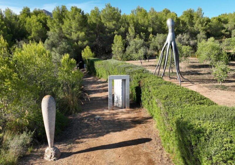 alcudia-museum-sa-bassa-blanca-entry-ticket