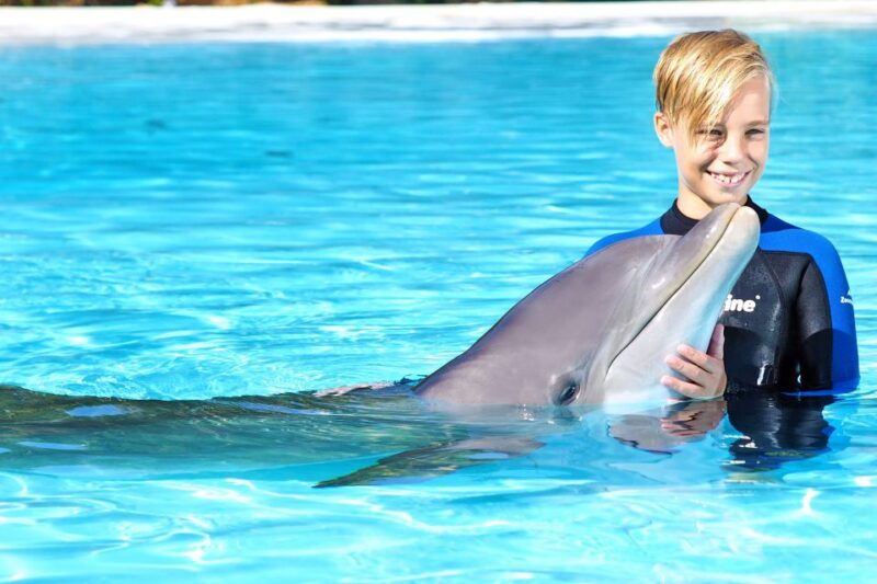 algarve-zoomarine-ticket-and-dolphin-emotions-experience