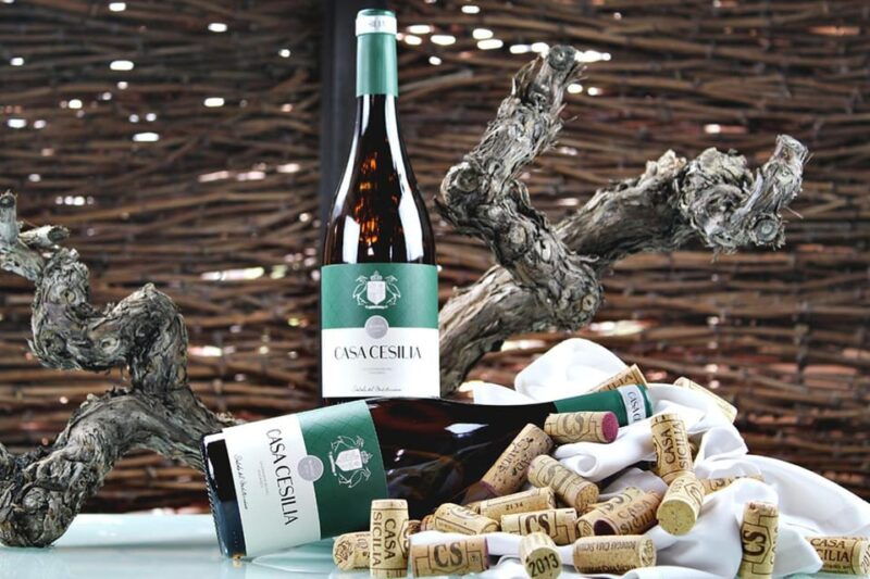 alicante-old-winery-tour-wine-tasting-including-transfer