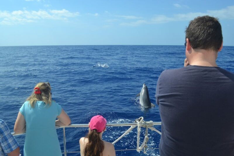 all-inclusive-whale-and-dolphin-watching-luxury-tour