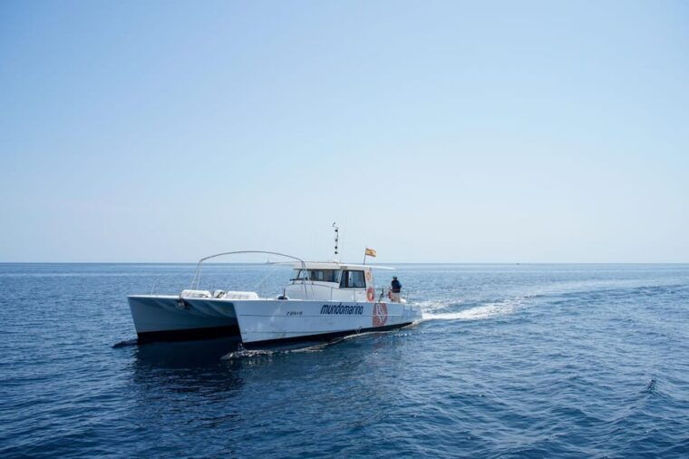 altea-motor-catamaran-boat-tour-with-sunset-option