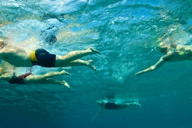 amalfi-coast-swim-experience-with-lifeguard