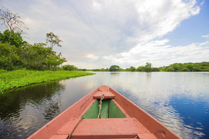amazon-survival-tour-4d-3n