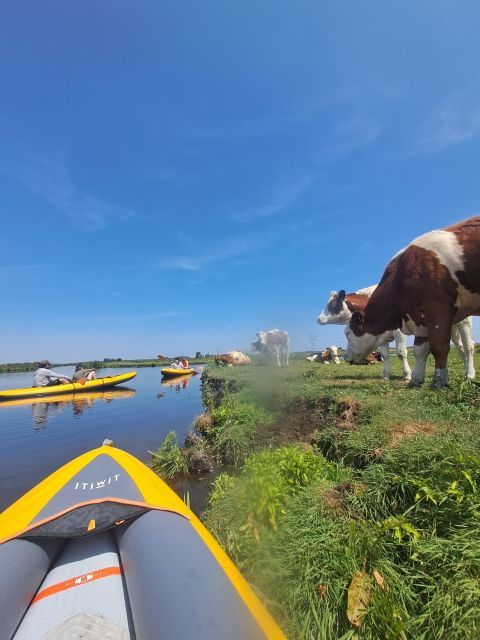 amsterdam-countryside-bike-and-kayak-guided-tour