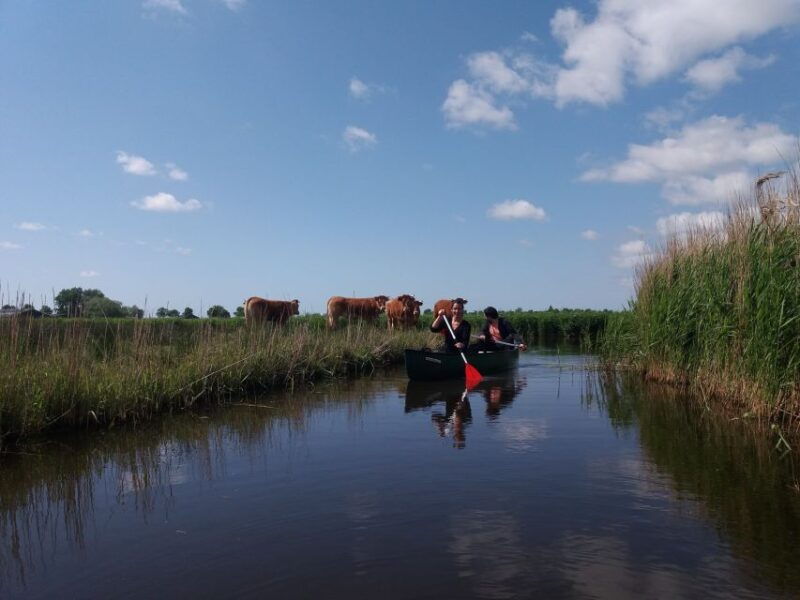 amsterdam-dutch-countryside-sunset-canoe-tour