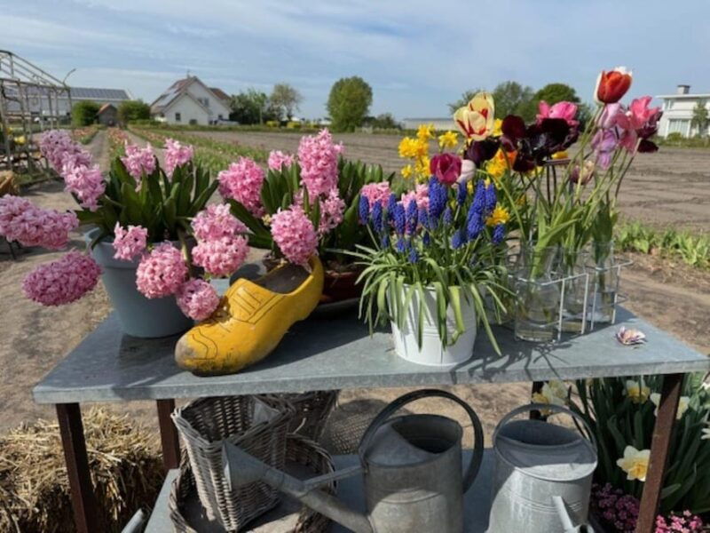 amsterdam-keukenhof-flowerfarm-tour-including-tickets
