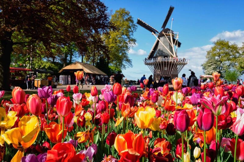 amsterdam-keukenhof-lunch-in-leiden-windmill-cruise-tour
