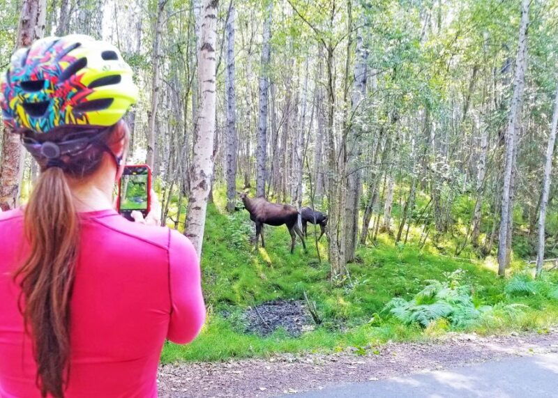 anchorage-coastal-trail-3-hour-city-bike-tour