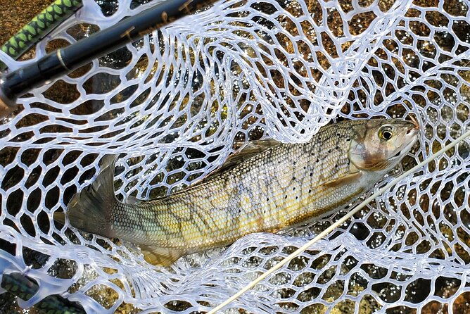 anchorage-guided-fly-fishing