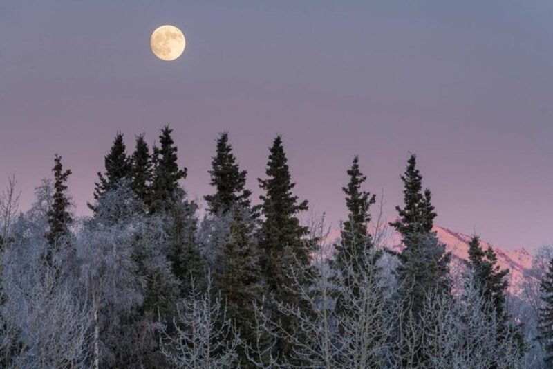 anchorage-sunset-photo-safari