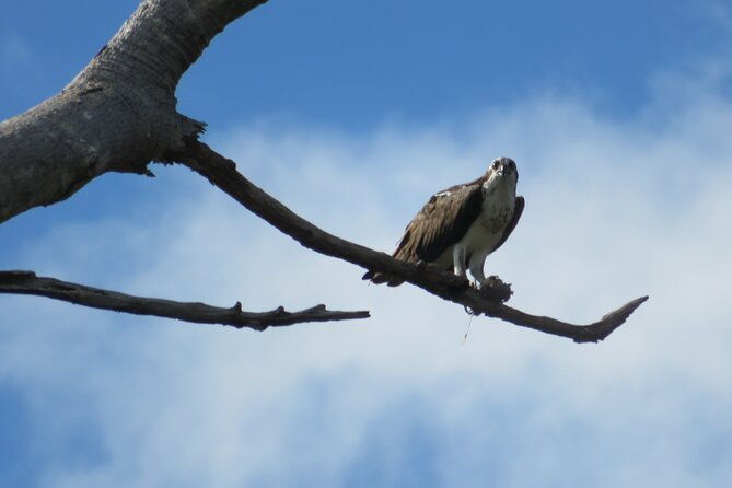 animal-sightseeing-boat-tour-in-palo-verde-national-park