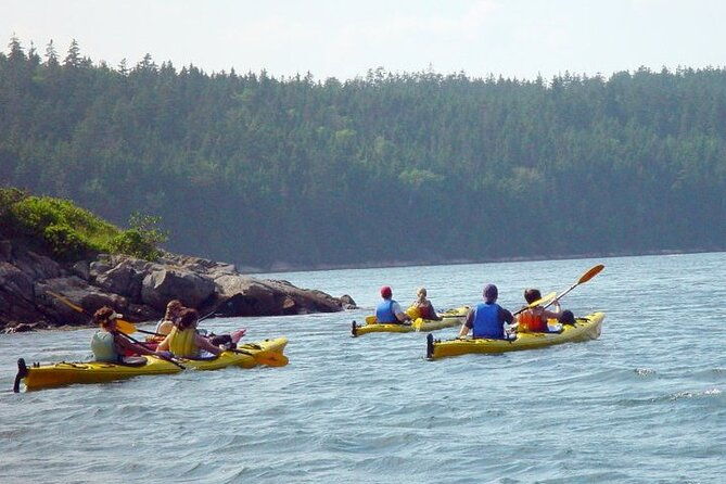 aqua-safari-kayak-tour-departing-southwest-harbor