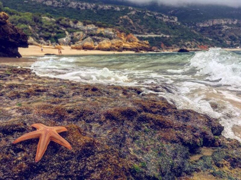 arrabida-jeep-tour-to-the-most-beautiful-beach-of-europe