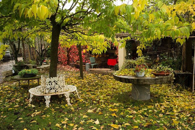 assisi-deruta-organic-gourmet-lunch-at-the-olive-oil-farmhouse-from-siena