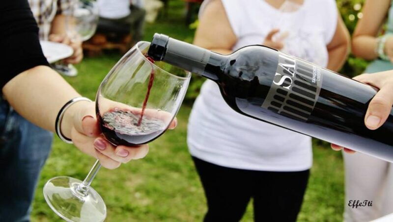 assisi-wine-tasting-gourmet-pairing-walk-in-the-vineyards