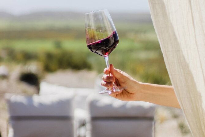 atamisque-winery-lunch-in-ruda-cocina-private-transportation