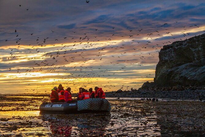 australis-cruise-at-the-end-of-the-world-ushuaia-to-punta-arenas