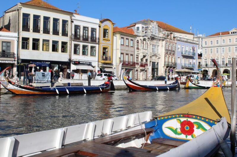 aveiro-private-walking-tour-in-the-city-and-moliceiro-boat