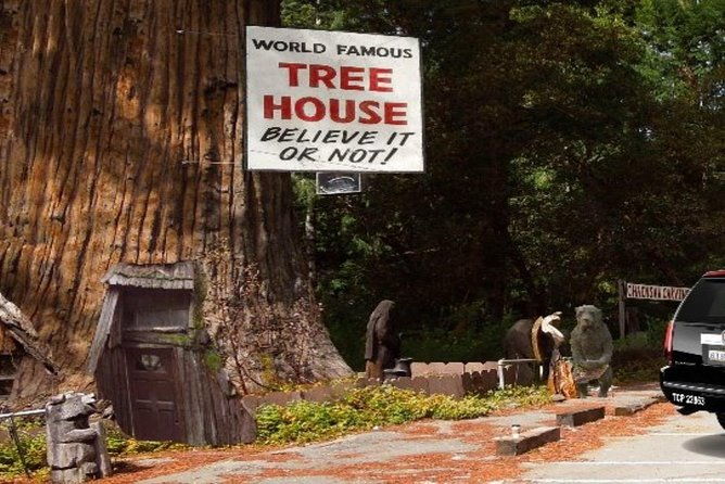 avenue-of-the-giant-redwood-private-1-day-tour-from-san-francisco