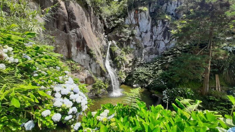 azores-sao-miguel-hike-and-snorkeling-with-a-local