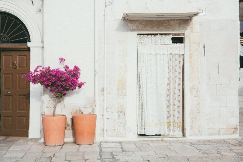 bari-private-or-shared-waking-tour-with-focaccia-tasting