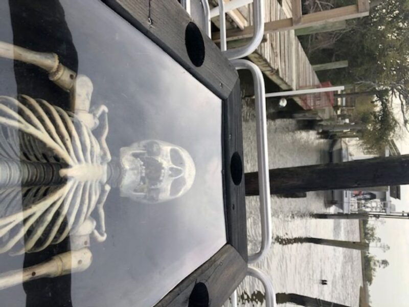 bay-st-louis-the-haunted-bayou-cruise