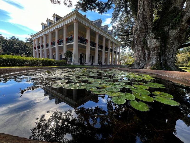 bayous-and-byways-oak-alley-plantation-and-kayak-swamp-tour