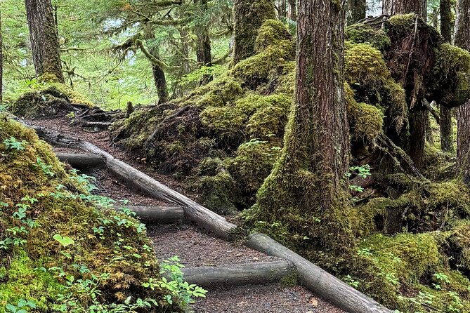 beautiful-hike-on-tongass-national-forests-lunch-creek-trail
