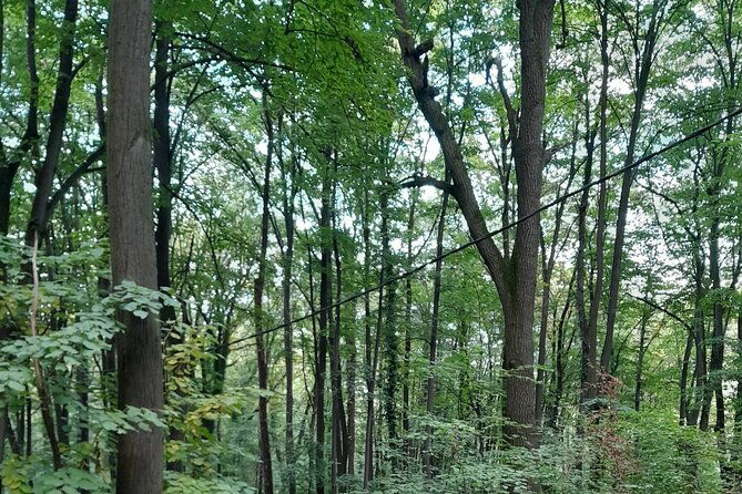 belgrade-hiking-tour-on-mountain-avala