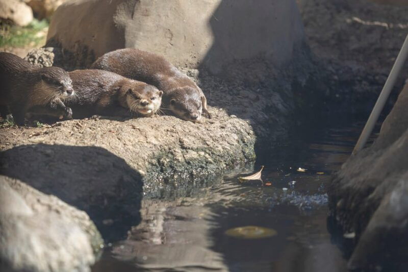 benalmadena-aquarium-visit