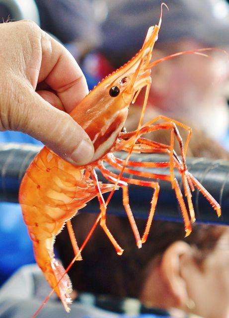 bering-sea-crab-fishermens-tour