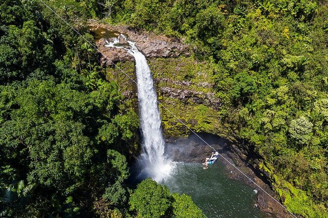 big-island-zipline-over-kolekole-falls-w-hilo-cruise-ship-pickup