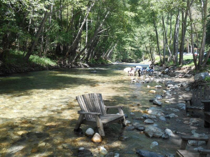 big-sur-sightseeing-tour-with-4-to-5-stops