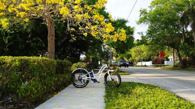 bike-rental-3