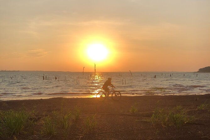 bike-tour-the-shores-of-lake-itaipu-in-the-middle-of-the-forest