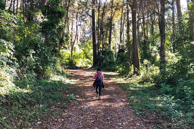 birdwatching-and-scenic-trail