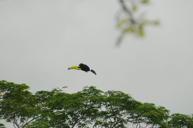 birdwatching-hiking-tour