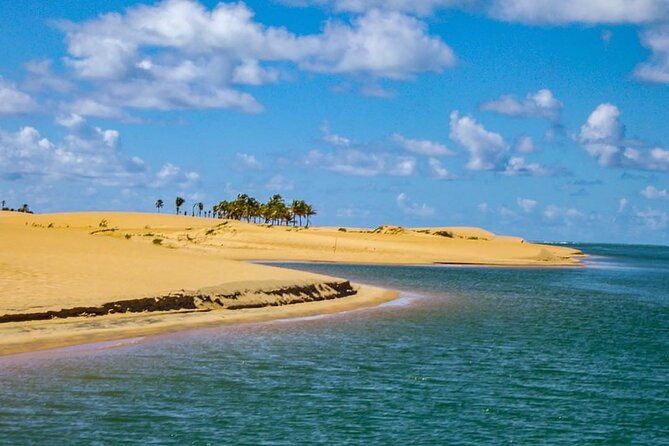 boat-ride-sao-francisco-river-the-largest-in-brazil