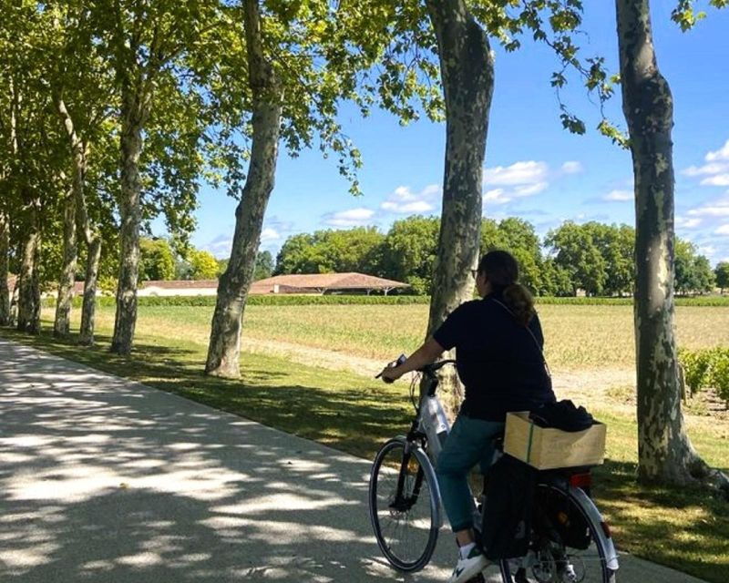 bordeaux-st-emilion-vineyards-e-bike-tour-with-wine-lunch