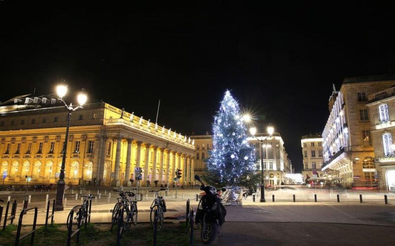 bordeaux-tour-with-private-guide