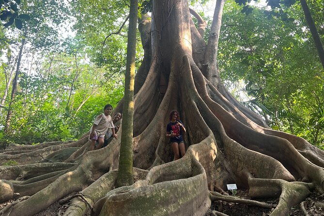 botanical-garden-cartagena-private-tour-with-bilingual-guide