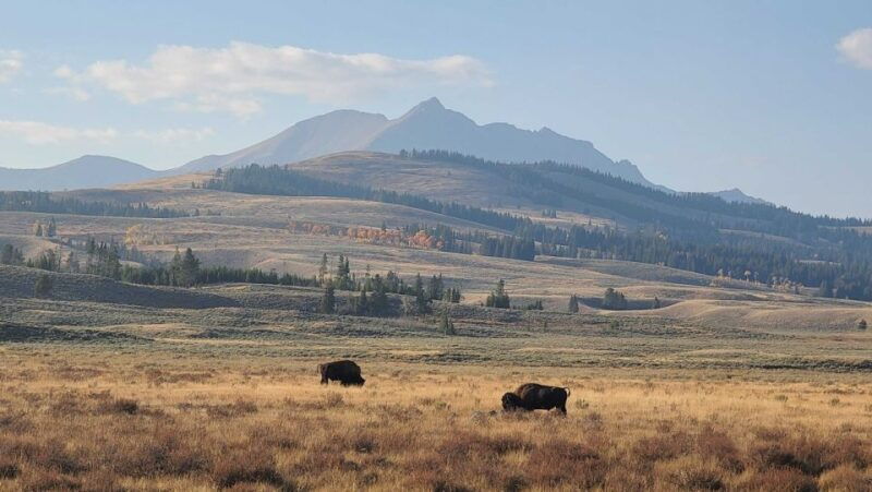 bozeman-yellowstone-grand-teton-national-park-with-hotel
