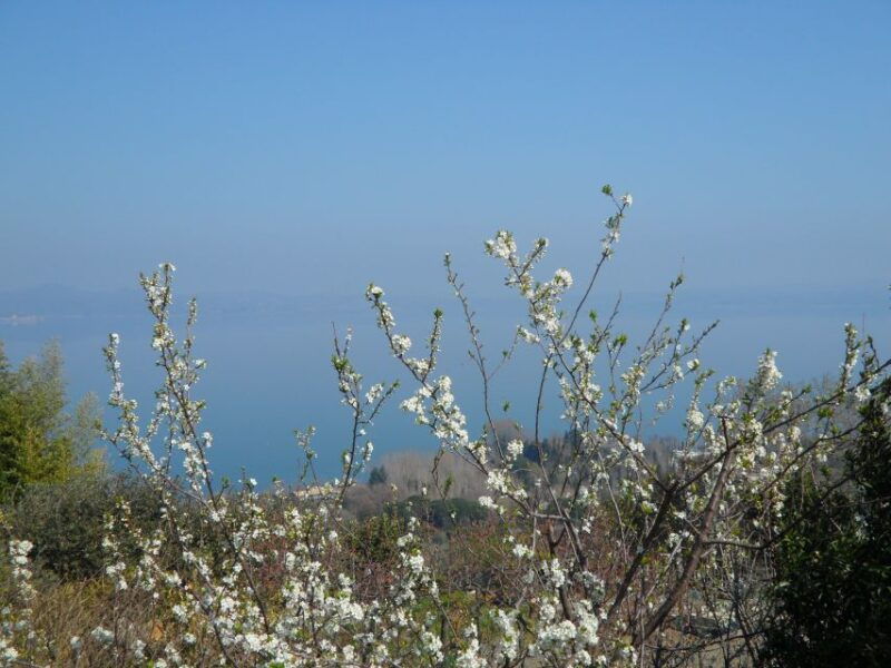 bracciano-odescalchi-orsini-ancient-castle-tour-with-lunch-2