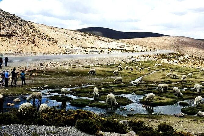 bus-from-puno-to-chivay-with-stops