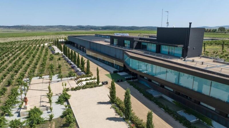 caceres-habla-wineries