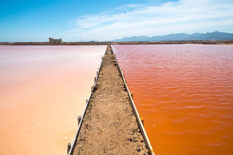 cagliari-conti-vecchi-salt-flats-train-and-tour