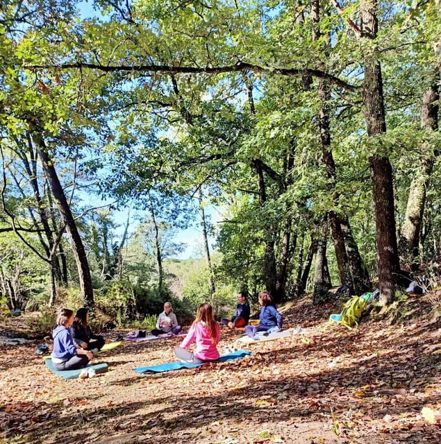 cagliari-forest-bathing-at-sette-fratelli-park