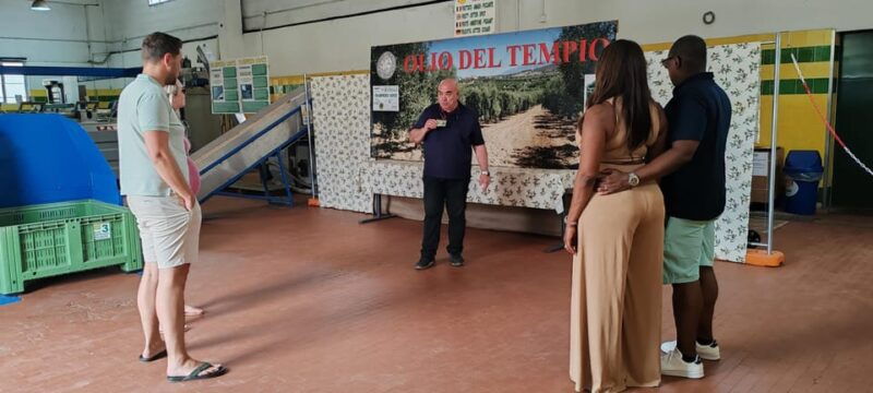 cagliari-wine-and-olive-oil-experience-oil-mill-museum