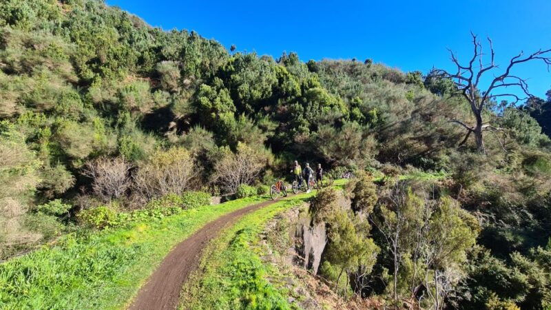 camacha-levada-trail-e-bike-guided-tour