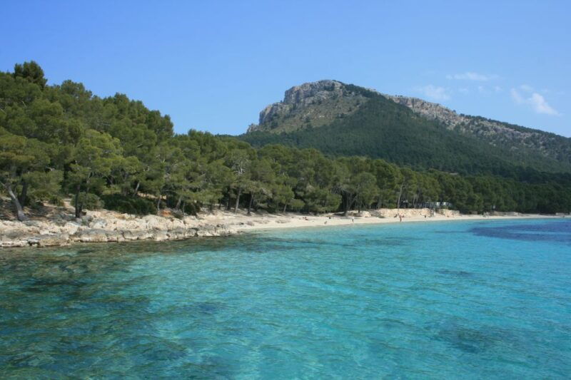 cap-de-formentor-market-beach-and-alcudia-tour